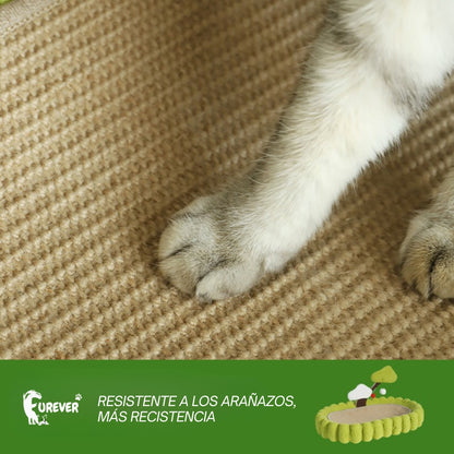 CAMA RASCADORA PARA GATOS DISEÑO DE ÁRBOL Y NUBE